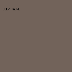 72635a - Deep Taupe color image preview