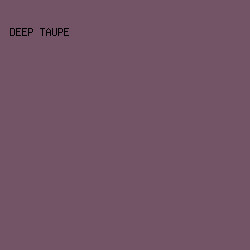 735466 - Deep Taupe color image preview