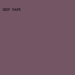 735563 - Deep Taupe color image preview