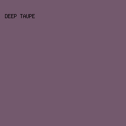 73596D - Deep Taupe color image preview