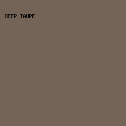 746458 - Deep Taupe color image preview