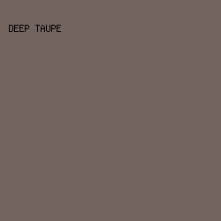 74645f - Deep Taupe color image preview