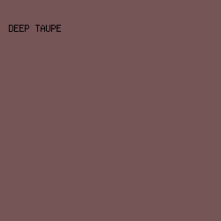 765556 - Deep Taupe color image preview