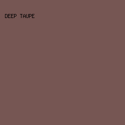765653 - Deep Taupe color image preview