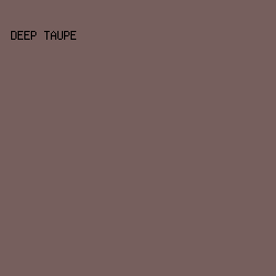 765F5D - Deep Taupe color image preview
