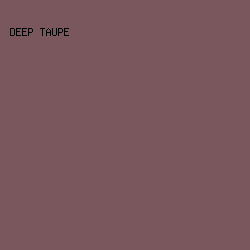 79575C - Deep Taupe color image preview