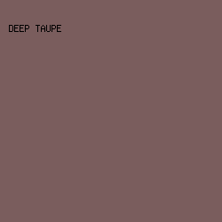 7A5D5D - Deep Taupe color image preview