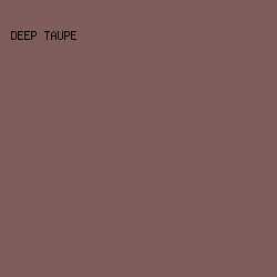 805D5D - Deep Taupe color image preview