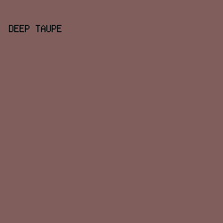 805E5C - Deep Taupe color image preview