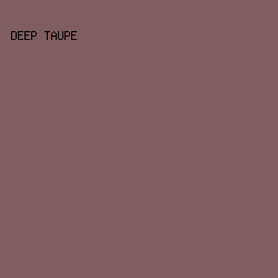 805e5f - Deep Taupe color image preview