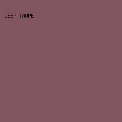 815661 - Deep Taupe color image preview