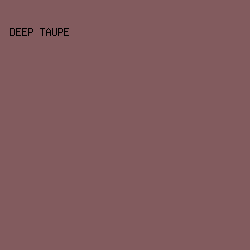 825B5E - Deep Taupe color image preview