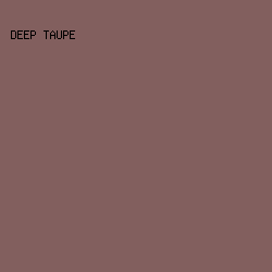 825F5E - Deep Taupe color image preview