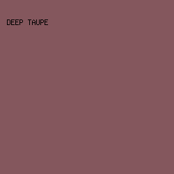 84575D - Deep Taupe color image preview