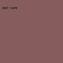 855E5C - Deep Taupe color image preview