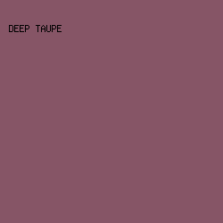 865566 - Deep Taupe color image preview