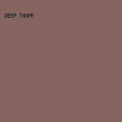 866560 - Deep Taupe color image preview