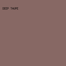 876864 - Deep Taupe color image preview