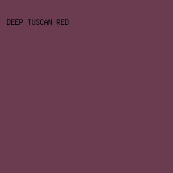 6B3C4F - Deep Tuscan Red color image preview