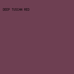 6E3F52 - Deep Tuscan Red color image preview