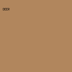B1865D - Deer color image preview