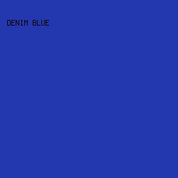 2338AE - Denim Blue color image preview