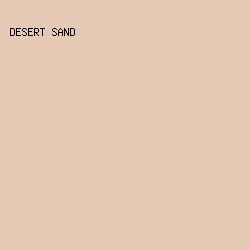 E5C9B5 - Desert Sand color image preview