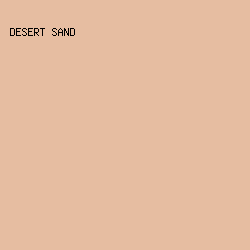 E6BDA1 - Desert Sand color image preview