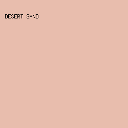 E8BDAD - Desert Sand color image preview