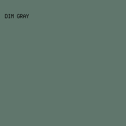 60766C - Dim Gray color image preview