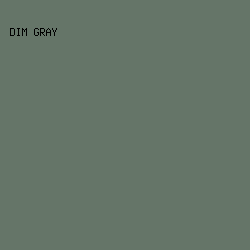 657568 - Dim Gray color image preview