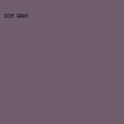 705e6c - Dim Gray color image preview
