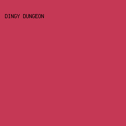 C53855 - Dingy Dungeon color image preview