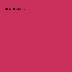 C9305C - Dingy Dungeon color image preview