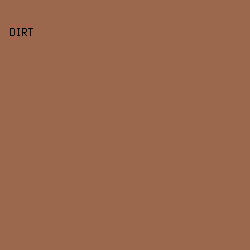 9B684D - Dirt color image preview
