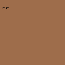 9E6D4B - Dirt color image preview