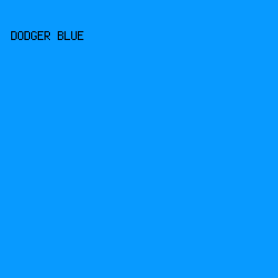089aff - Dodger Blue color image preview