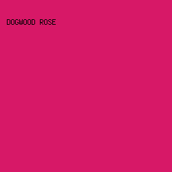 D71867 - Dogwood Rose color image preview