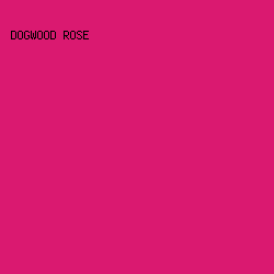 DA1970 - Dogwood Rose color image preview