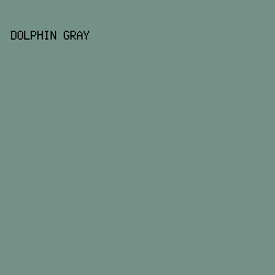739187 - Dolphin Gray color image preview