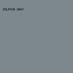 7D888C - Dolphin Gray color image preview