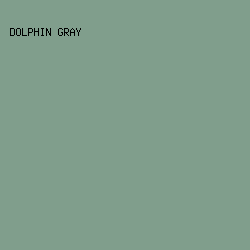 809E8C - Dolphin Gray color image preview