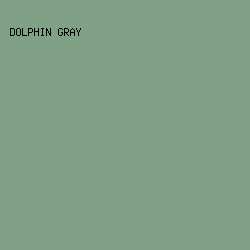 81A186 - Dolphin Gray color image preview
