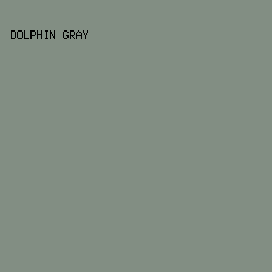 828E83 - Dolphin Gray color image preview