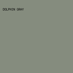 858C7E - Dolphin Gray color image preview