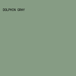 869c84 - Dolphin Gray color image preview