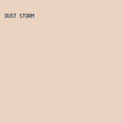 E9D3BF - Dust Storm color image preview