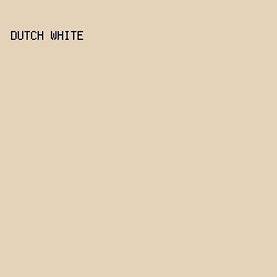 E5D3B9 - Dutch White color image preview