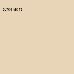 E8D4B7 - Dutch White color image preview