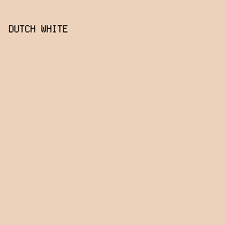 EDD2BB - Dutch White color image preview